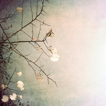 grunge abstract background