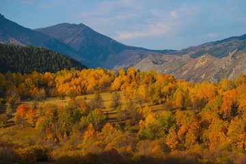 Colorful autumn landscape in the mountain village. 