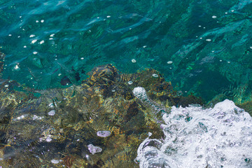 Vista de arriba del agua cristalina de la playa de cozumel en piedras