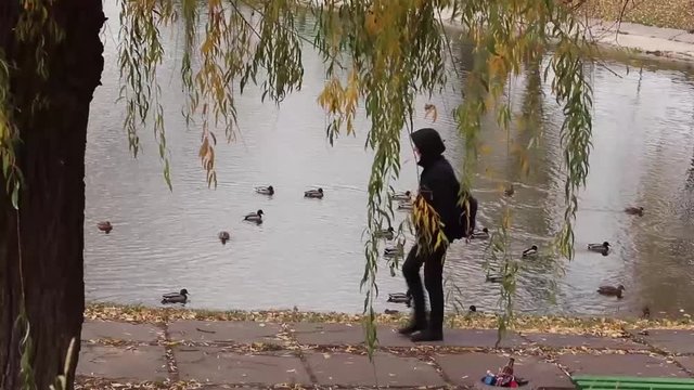 A guy in a black short jacket is walking near Lake Vera. A flock of beautiful ducks is swimming. Autumn atmosphere. The concept of outdoor recreation. Copyspace for text.