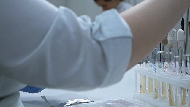 A female chemist in a laboratory opens a package with scissors containing a microplate for research. Antivirus development, modern laboratory
