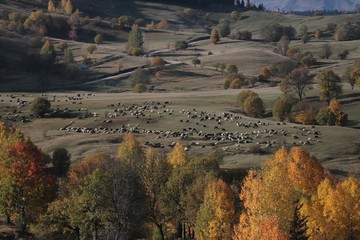 Colorful autumn landscape in the mountain village. 