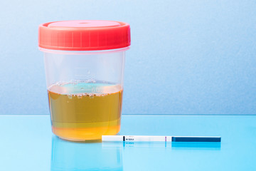 Negative pregnancy test