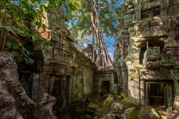 Fototapeta premium Preah Kahn 