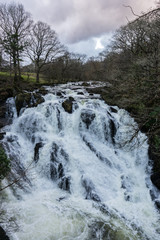 waterfall in forest