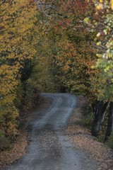 Obraz premium Autumn mountain forest village landscape. Mountain village in autumn. Mountain forest village in autumn. Autumn mountain village view