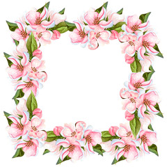 Watercolor apple blossoming tree frame isolated on white. Hand drawn floral corner wreath with flowers, leaves and buds. Perfect for invitations, design and wedding cards.