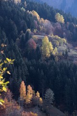 Autumn mountain forest village landscape. Mountain village in autumn. Mountain forest village in autumn. Autumn mountain village view