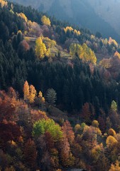 Autumn mountain forest village landscape. Mountain village in autumn. Mountain forest village in autumn. Autumn mountain village view