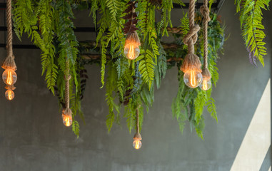 Modern ceiling lamp applied from rope with green fresh natural interior lighting bulbs decoration...