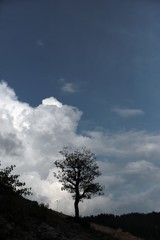 Autumn mountain forest village landscape. Mountain village in autumn. Mountain forest village in autumn. Autumn mountain village view