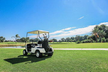 Golf carts