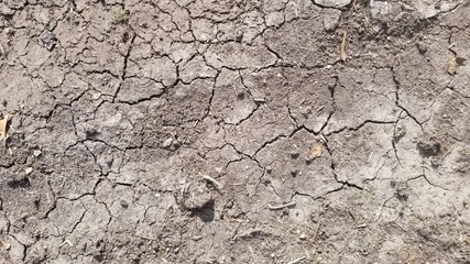 Brown cracked earth texture for background