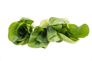 Pak Choi isolated on a white bakcground