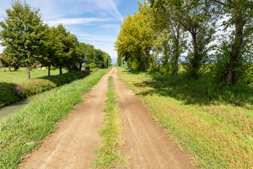 Fototapeta na wymiar dirt road next to San Germano Vercellese, province of Vercelli, Piedmont, Italy