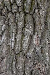 Naklejka premium Grey brick stone wall texture