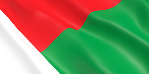 Madagascar flag 3d