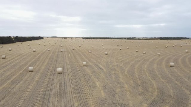 Drone aerial footage of rolled hay bales in a dry agricultural field on a farm in regional Australia