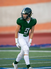 Action photos of football players making amazing plays during a football game