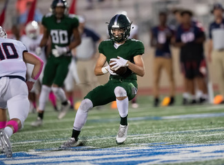 Action photos of football players making amazing plays during a football game