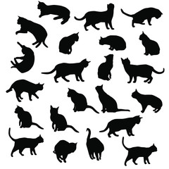 Set vector silhouettes of the cat, different poses, standing, jumping and sitting,  black color, isolated on white background