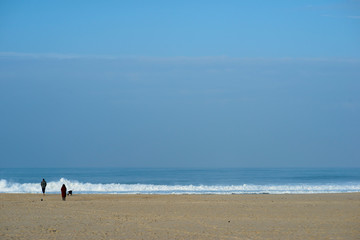 Fototapeta na wymiar people walking the dog on the beach of Esmoriz in Portugal