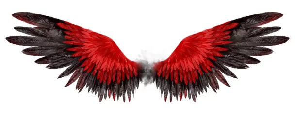 Fotobehang Beautiful magic red black wings drawn with watercolor effect © Евгения Савченко