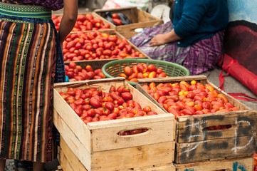 Fresh tomatoes for sale on the street markets in Guatemala