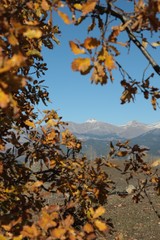 Mountain forest village in autumn. Autumn mountain village view