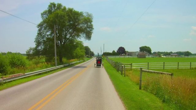 Amish Horse and Buggy Trotting along Residential Road