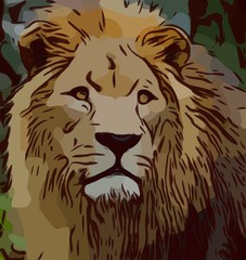 Lion Illustration