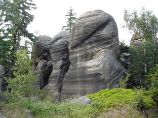 rocks in forest