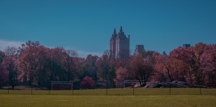 「Otonal」の写真素材 | 13件の無料イラスト画像 | Adobe Stock