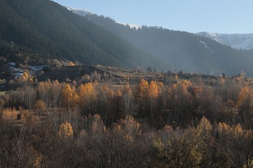 Mountain forest village in autumn. Autumn mountain village view