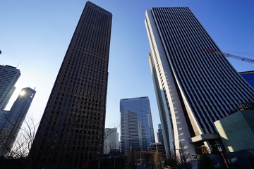 新宿　高層ビル　青空　見上げる　広角
