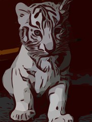 Obraz premium Tiger Illustration