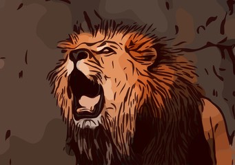 Lion Illustration