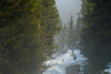 Weg im Gebirge bei Nebel