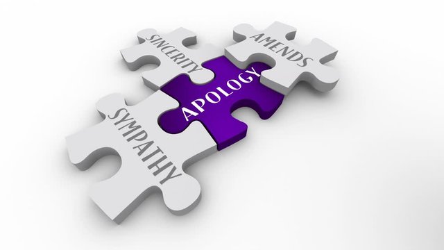 Apology Sorry Sympathy Amends Responsibility Puzzle Pieces 3d Animation