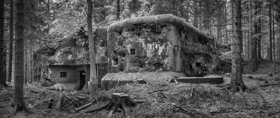 Infantry blockhouse from World War II in Bartošovice v Orlických horách, built in the forest.