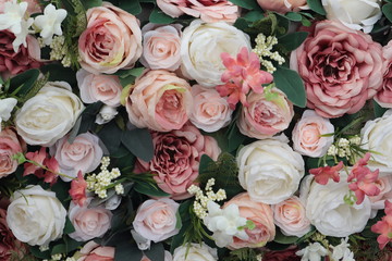 Colorful beauty pink and white roses backdrop for Valentines day wedding concept background texture