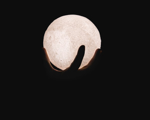 Moon in Hand. Darkness lit by the moon.