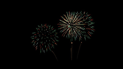 Colorful fireworks explosion in the night sky.