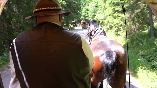 Poland, Poznan, 28.06.2019: A big man wagonar in leather jacket and hat drives a carriage through the forest, drives two horses