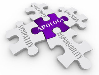 Apology Sorry Sympathy Amends Responsibility Puzzle Pieces 3d Illustration