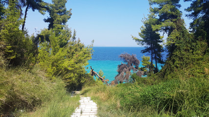 Kryiopigi Chalkidiki, Kassandra Grecja