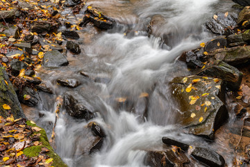 Pearsons Waterfall detailed view after heavy rainfall near Saluda in North Carolina, United States.