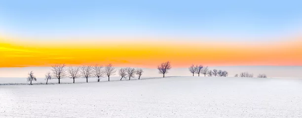 Küchenrückwand glas motiv Weiß winter landscape with tree alley  in sunset