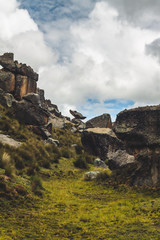 postcard of the huayllay national reserve