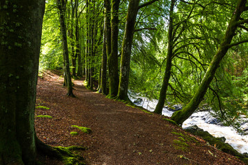 Obraz premium Walking in Blair Atholl, Scotland